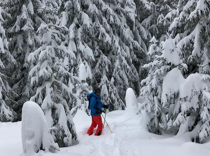 Le M1212 Avoriaz